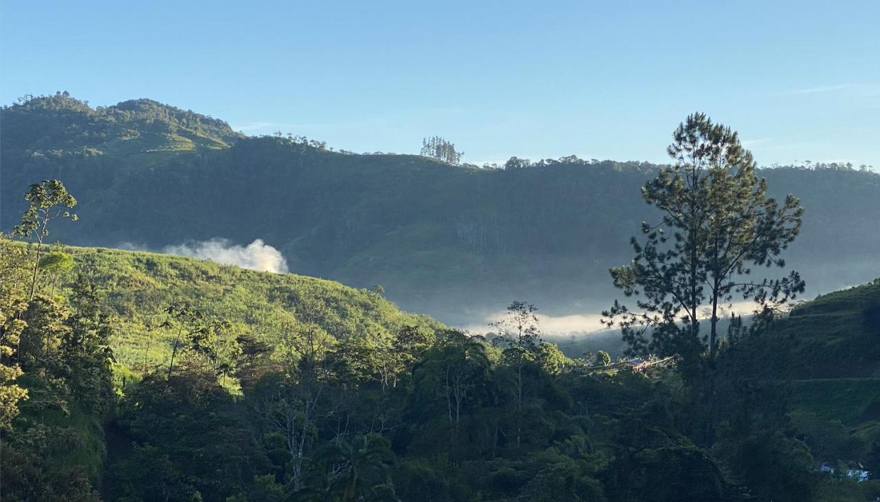 Arte De Plumas Birding Lodge การ์ตาโก ภายนอก รูปภาพ