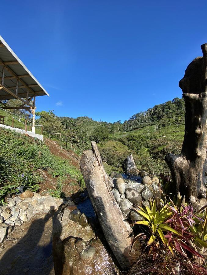 Arte De Plumas Birding Lodge การ์ตาโก ภายนอก รูปภาพ