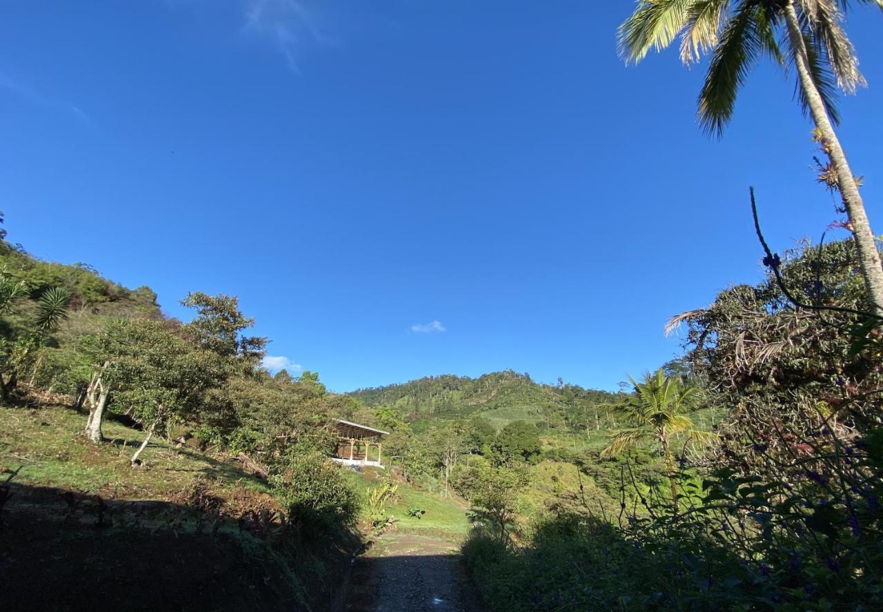 Arte De Plumas Birding Lodge การ์ตาโก ภายนอก รูปภาพ