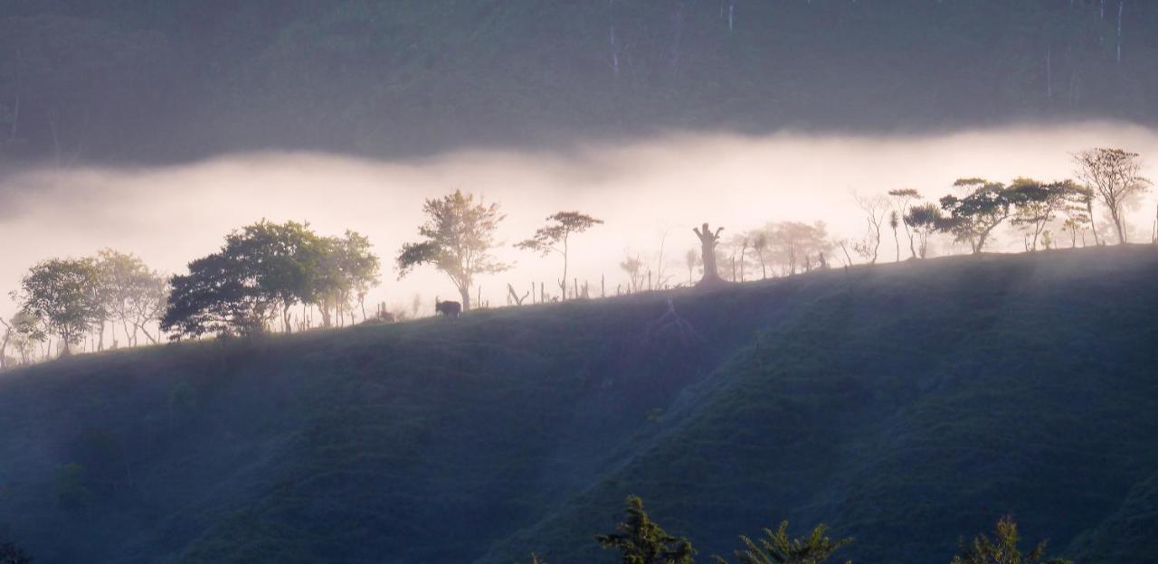 Arte De Plumas Birding Lodge การ์ตาโก ภายนอก รูปภาพ
