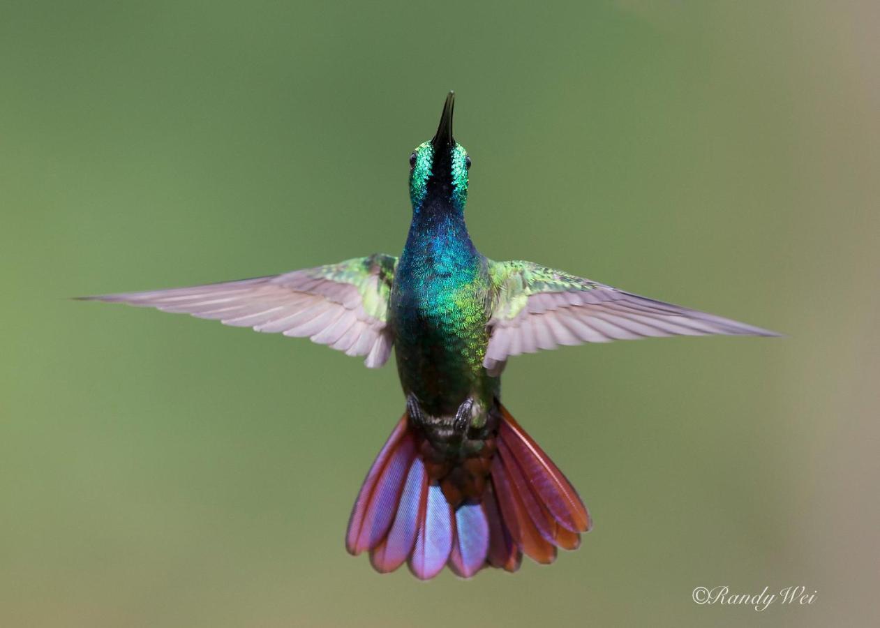 Arte De Plumas Birding Lodge การ์ตาโก ภายนอก รูปภาพ